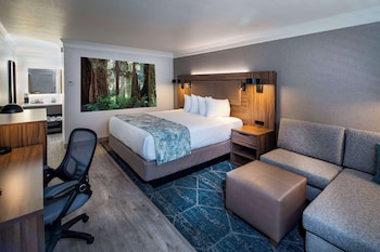 Standard Room, 1 King Bed, Non Smoking, Refrigerator & Microwave