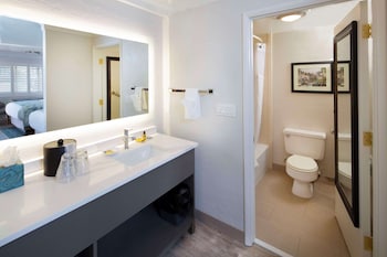 Standard Room, 1 King Bed, Non Smoking, Refrigerator & Microwave