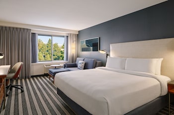 Room, 1 King Bed with Sofa bed, Hearing Accessible (Roll-in Shower)