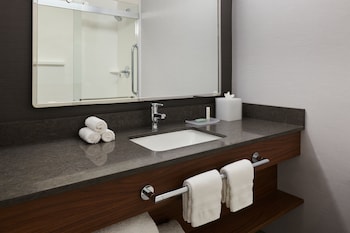 Suite, 1 Bedroom, Hearing Accessible (Roll-in Shower, High Floor)