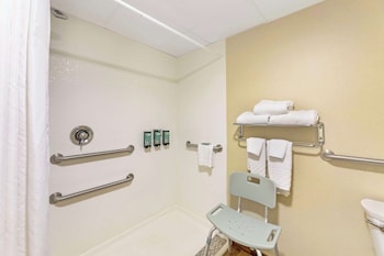Standard Room, 1 King Bed, Accessible, Non Smoking