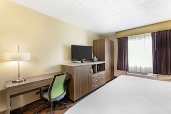 Standard Room, 1 King Bed, Non Smoking, Refrigerator & Microwave (Larger Room)
