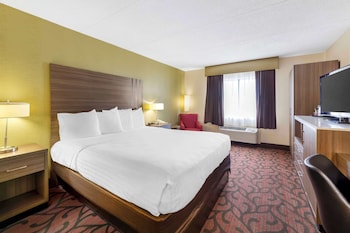 Standard Room, 1 King Bed, Non Smoking, Refrigerator & Microwave