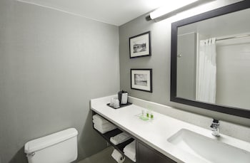 Standard Room, 1 King Bed with Sofa bed