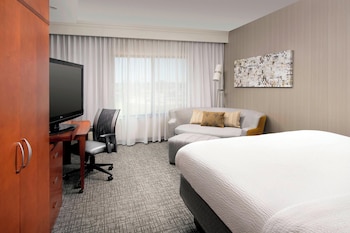 Room, 1 King Bed with Sofa bed