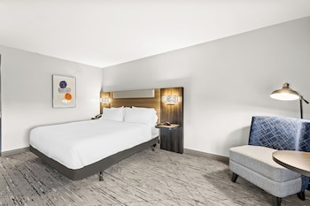 Standard Room, 1 King Bed, Accessible (Communications, Mobility, Access Tub)