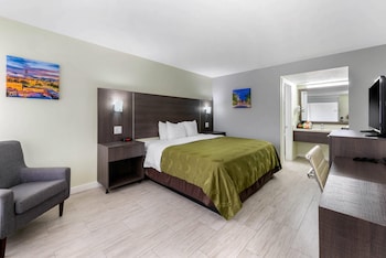 Standard Room, 1 King Bed, Non Smoking