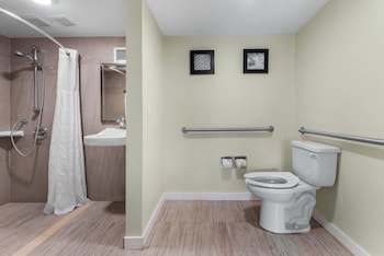 Room, 1 King Bed, Accessible, Non Smoking