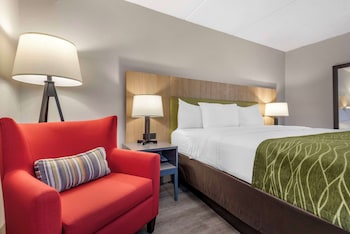 Standard Room, 1 King Bed, Non Smoking