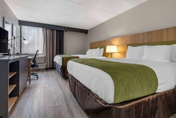 Standard Room, 2 Queen Beds, Non Smoking