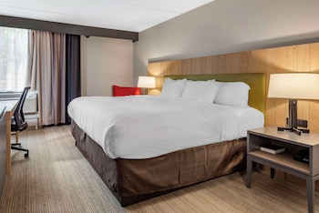 Room, 1 King Bed, Accessible, Non Smoking
