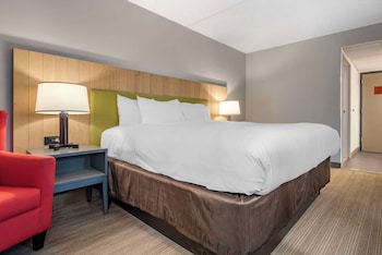 Room, 1 King Bed, Accessible, Non Smoking