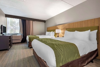 Suite, Multiple Beds, Non Smoking