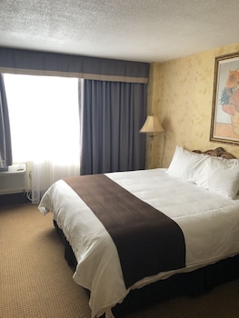 Room, 1 King Bed, Non Smoking, Jetted Tub (Ground Level)
