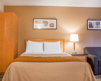 Comfort Care, Standard Room, 1 Queen Bed with Sofa bed, Non Smoking