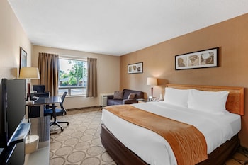 Standard Room, 1 Queen Bed, Non Smoking, Ground Floor