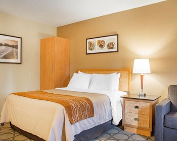 Standard Room, 1 Queen Bed, Non Smoking, Ground Floor