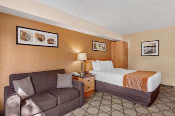 Comfort Care, Standard Room, 1 Queen Bed with Sofa bed, Non Smoking