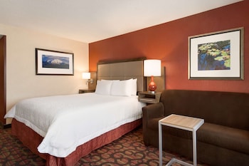 Room, 1 King Bed, Accessible, Bathtub (Hearing)