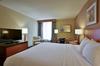 Room, 1 King Bed, Accessible, Non Smoking (Mobility, Roll-in Shower)
