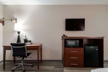 Standard Room, 1 King Bed, Non Smoking, Refrigerator & Microwave (with Sofabed)