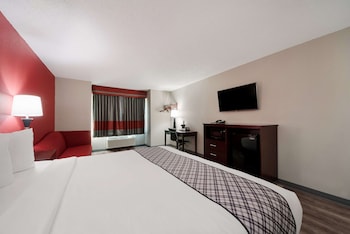 Standard Room, 1 King Bed, Non Smoking, Refrigerator & Microwave (with Sofabed)