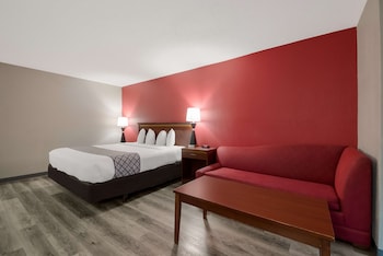 Standard Room, 1 King Bed, Non Smoking, Refrigerator & Microwave (with Sofabed)