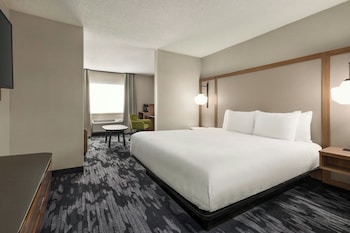 Executive Suite, 1 King Bed with Sofa bed