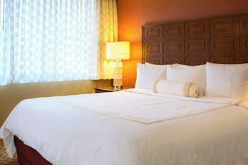 Room, 1 King Bed