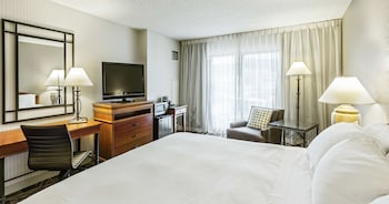 Room, 1 King Bed, City View
