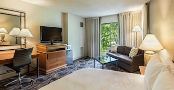 Room, 1 King Bed with Sofa bed, River View