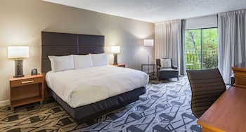 1 King Bed with Balcony - River View - NS