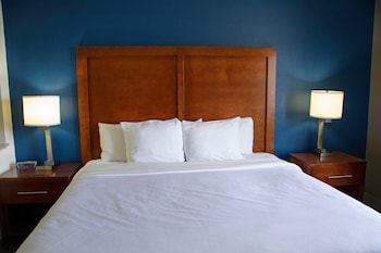 Standard Room, 1 King Bed, Non Smoking