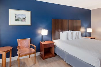 Standard Room, 1 King Bed, Non Smoking, Refrigerator & Microwave (Pet Friendly)