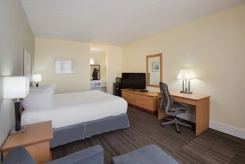 Standard Room, 1 King Bed, Non Smoking, Refrigerator & Microwave