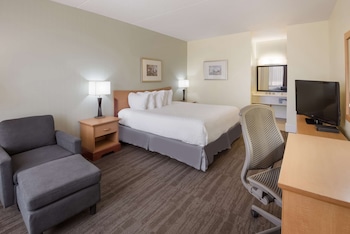 Standard Room, 1 King Bed, Non Smoking, Refrigerator & Microwave