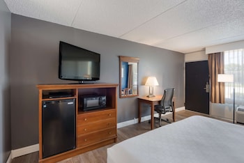 Standard Room, 1 King Bed, Non Smoking, Refrigerator & Microwave (Pet Friendly)