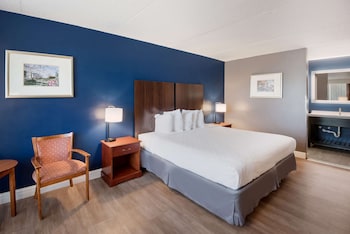 Standard Room, 1 King Bed, Non Smoking, Refrigerator & Microwave (Pet Friendly)
