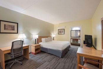 Standard Room, 1 King Bed, Non Smoking, Refrigerator & Microwave