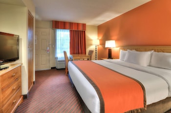 Room, 1 King Bed, Accessible, Non Smoking