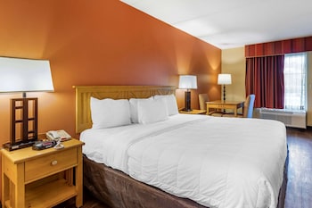 Room, 1 King Bed, Accessible, Non Smoking