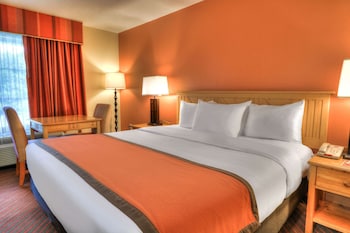 Room, 1 King Bed, Accessible, Non Smoking