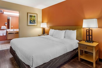 Room, 1 King Bed, Accessible, Non Smoking