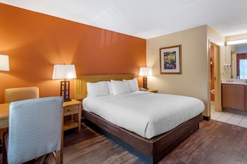 Standard Room, 1 King Bed, Non Smoking