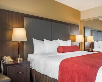 Standard Room, 1 King Bed, Non Smoking