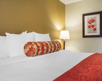 Standard Room, 1 King Bed, Non Smoking
