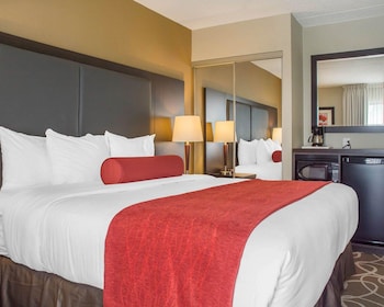 Standard Room, 1 King Bed, Non Smoking