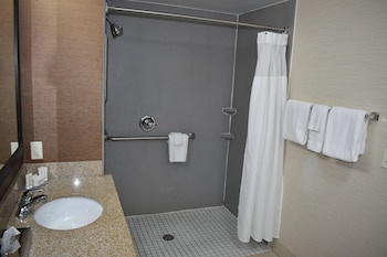 Suite, 1 Bedroom, Roll-in Shower