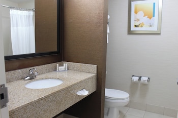Suite, 1 King Bed with Sofa bed
