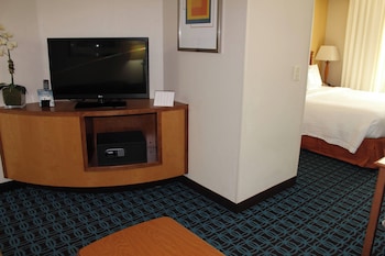 Suite, 1 King Bed with Sofa bed
